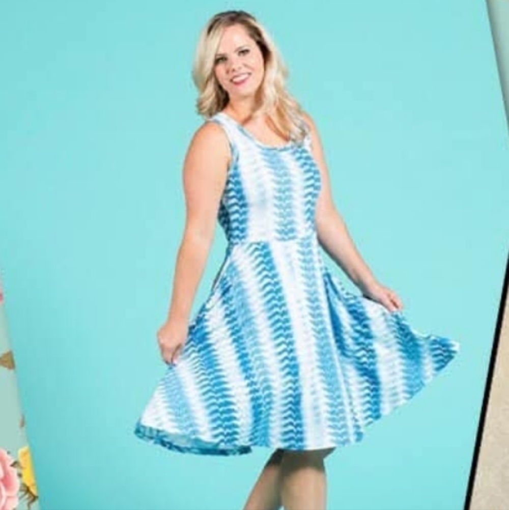 Lularoe Nicki Dress